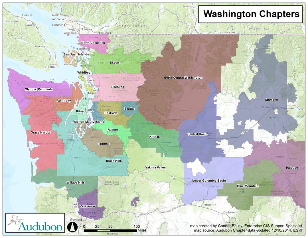 washington chapter network audubon washington divorce in washington state