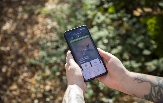 Become a Techno-Naturalist