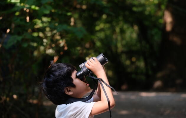 Birding for Beginners