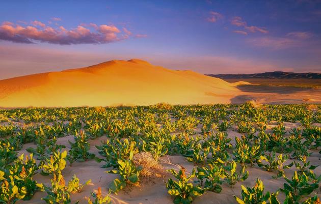 Hanford Reach National Monument