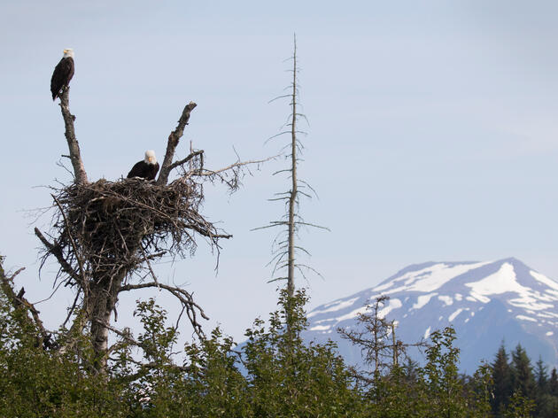 Audubon Washington’s 2026 Legislative Priorities 