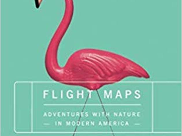 This Month's Birdy Book: "Flight Maps" by Jennifer Price