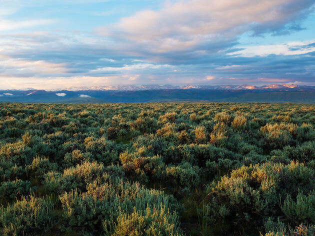 Audubon Conservation Ranching Comes to Washington
