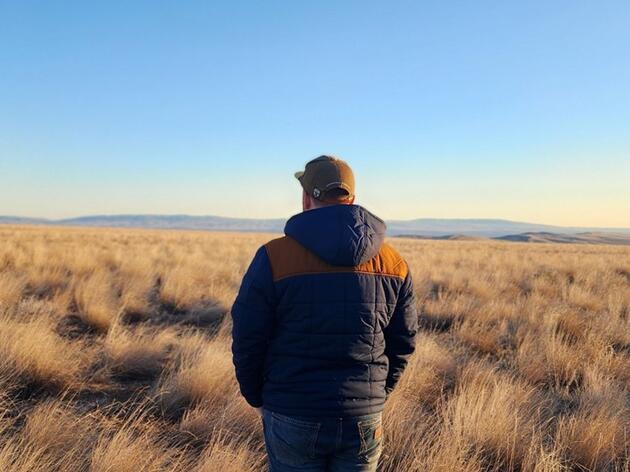 Searching for sage grouse: Looking for a chicken-sized needle in south-central WA