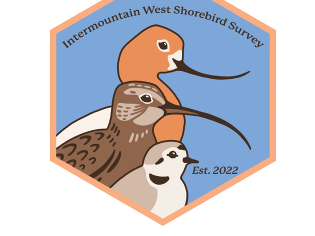 Volunteers at the Heart of the Intermountain West Shorebird Survey 