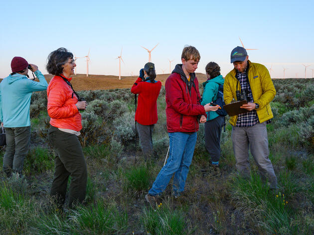 A Win for the Audubon Network: The Landmark Sagebrush Songbird Survey