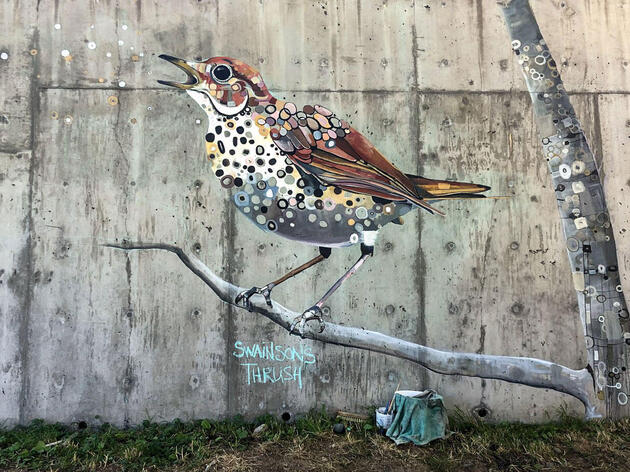 The Audubon Mural Project Lands in the Pacific Northwest
