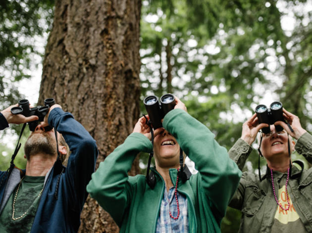 Effective July 1, 2018: Higher CGA Rates Can Benefit Your Family and Birds
