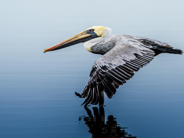 Bill Tracker: 2026 Legislative Session 