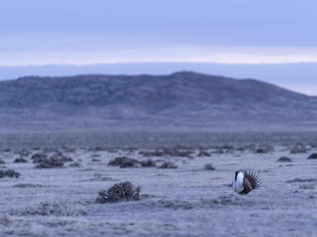 Renewable Energy: Siting it Right in the Columbia Plateau and Beyond