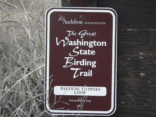 What Is a Birding Trail?