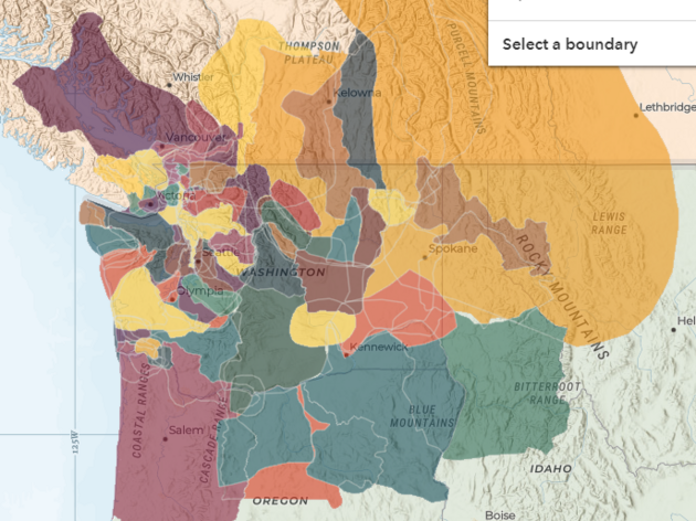 Native Lands Map of Washington - Excerpt from https://native-land.ca/
