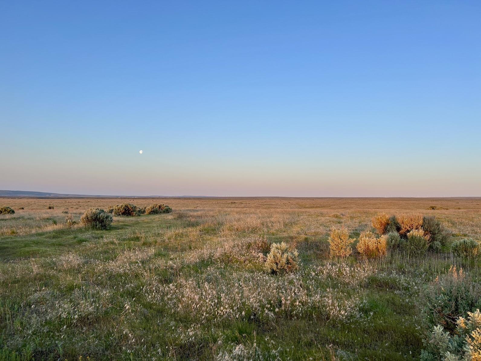 Shrub-steppe landscape at sunrise. Shrub-steppe landscape at sunrise.