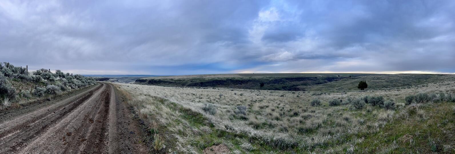 Shrub-steppe landscape next to a dirt road. Shrub-steppe landscape next to a dirt road.