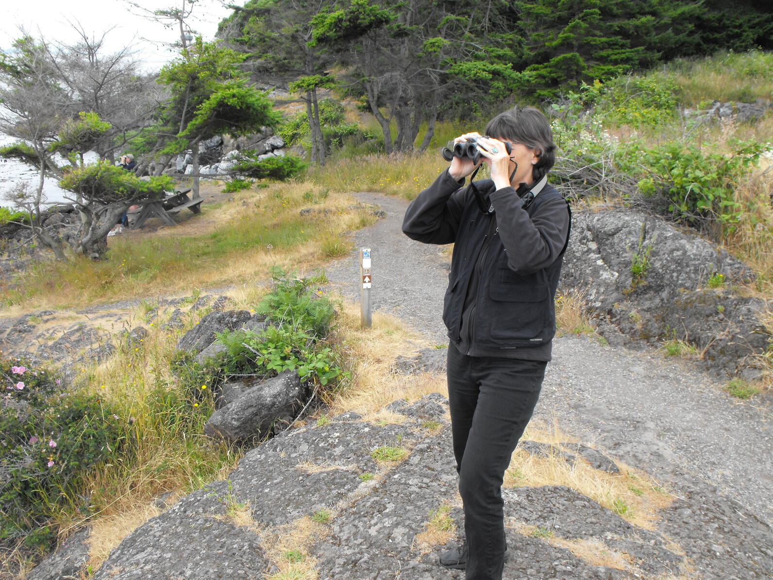 A person looking through binoculars in the San Juan islands.