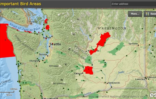 Important Bird Areas | Audubon Washington